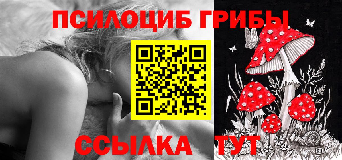 Галлюциногенные грибы прущие грибы  Галлюциногенные грибы MAGIC MUSHROOMS  Кисловодск 