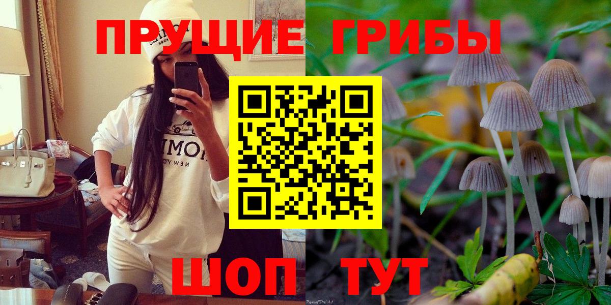 Псилоцибиновые грибы ЛСД Кисловодск